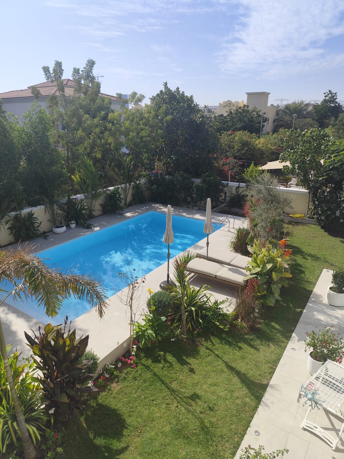 Aerial view of landscaped garden and pool